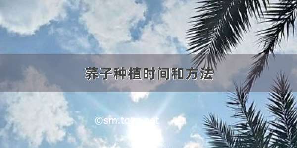 荞子种植时间和方法