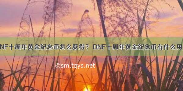 DNF十周年黄金纪念币怎么获得？ DNF十周年黄金纪念币有什么用？