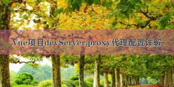 Vue项目devServer.proxy代理配置详解