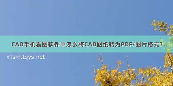 CAD手机看图软件中怎么将CAD图纸转为PDF/图片格式？