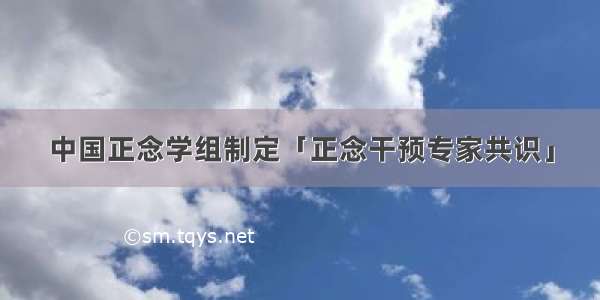 中国正念学组制定「正念干预专家共识」