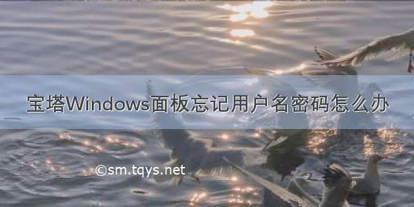 宝塔Windows面板忘记用户名密码怎么办