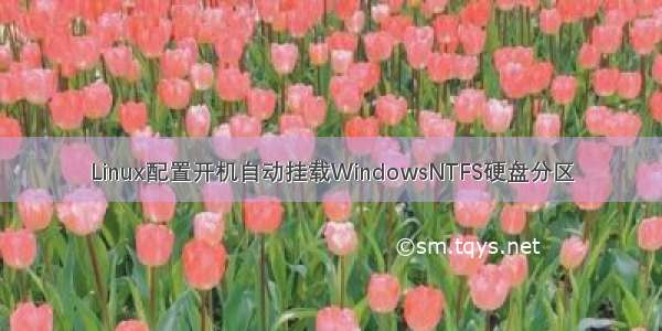 Linux配置开机自动挂载WindowsNTFS硬盘分区