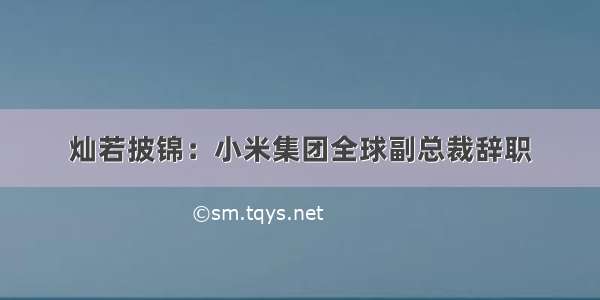 灿若披锦：小米集团全球副总裁辞职