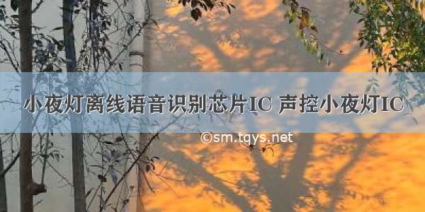 小夜灯离线语音识别芯片IC 声控小夜灯IC