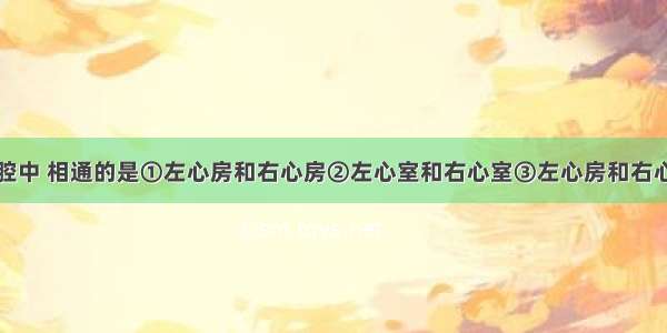 心脏的四个腔中 相通的是①左心房和右心房②左心室和右心室③左心房和右心室④右心房