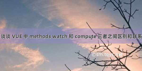 谈谈 VUE 中 methods watch 和 compute 三者之间区别和联系