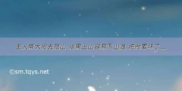 主人带大狗去爬山 结果上山容易下山难 把他累坏了.....