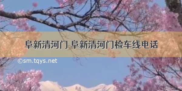 阜新清河门 阜新清河门检车线电话