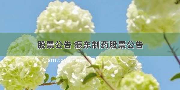 股票公告 振东制药股票公告