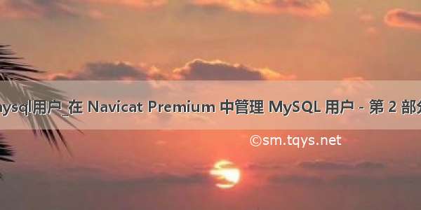 navicat创建mysql用户_在 Navicat Premium 中管理 MySQL 用户－第 2 部分：创建新用户