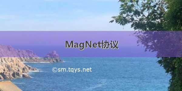 MagNet协议