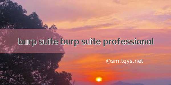 burp suite burp suite professional