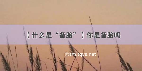 【什么是“备胎”】你是备胎吗