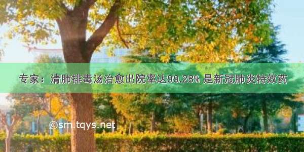 专家：清肺排毒汤治愈出院率达99.28% 是新冠肺炎特效药