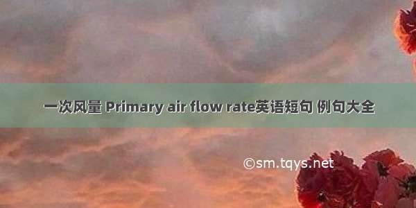 一次风量 Primary air flow rate英语短句 例句大全