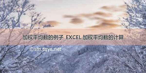 加权平均数的例子_EXCEL 加权平均数的计算