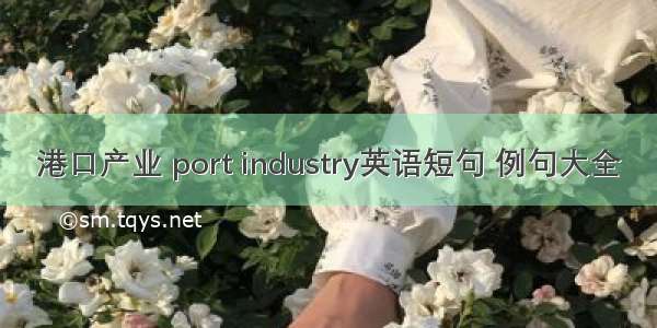 港口产业 port industry英语短句 例句大全