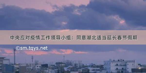 中央应对疫情工作领导小组：同意湖北适当延长春节假期