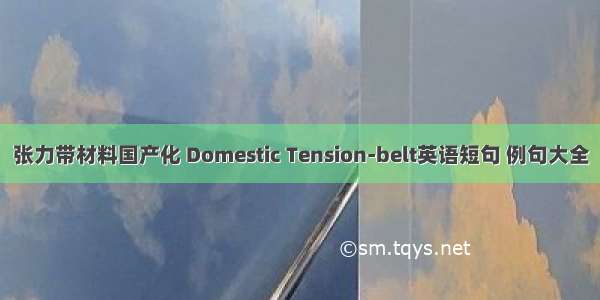 张力带材料国产化 Domestic Tension-belt英语短句 例句大全
