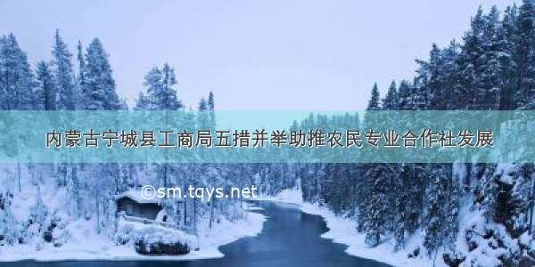 内蒙古宁城县工商局五措并举助推农民专业合作社发展