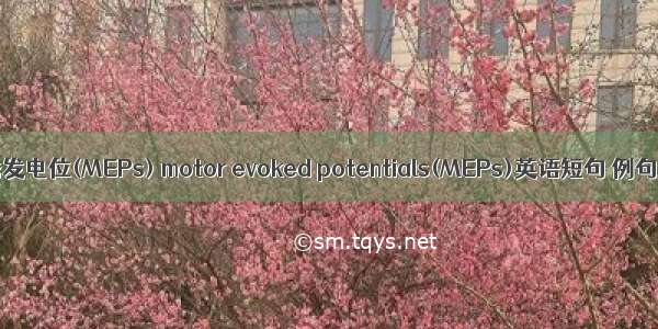 运动诱发电位(MEPs) motor evoked potentials(MEPs)英语短句 例句大全