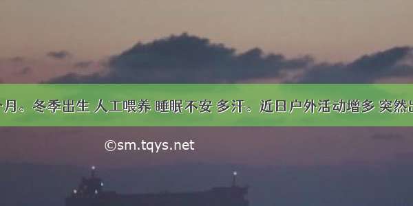 患儿 6个月。冬季出生 人工喂养 睡眠不安 多汗。近日户外活动增多 突然出现惊厥