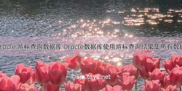 oracle 游标查询数据库 Oracle数据库使用游标查询结果集所有数据