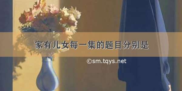 家有儿女每一集的题目分别是