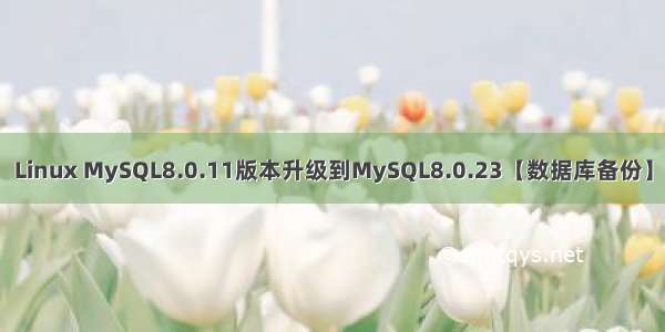 Linux MySQL8.0.11版本升级到MySQL8.0.23【数据库备份】