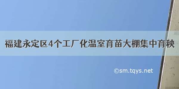 福建永定区4个工厂化温室育苗大棚集中育秧