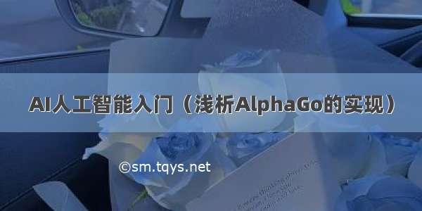 AI人工智能入门（浅析AlphaGo的实现）