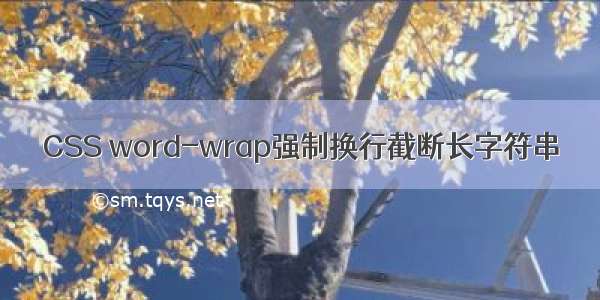CSS word-wrap强制换行截断长字符串