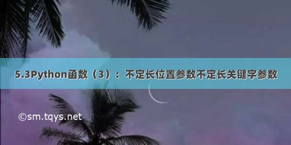 5.3Python函数（3）：不定长位置参数不定长关键字参数