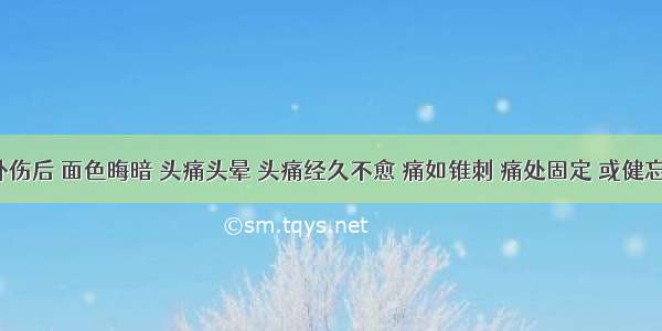 患者外伤后 面色晦暗 头痛头晕 头痛经久不愈 痛如锥刺 痛处固定 或健忘 失眠 