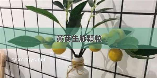 黄芪生脉颗粒