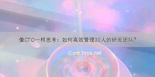 像CTO一样思考：如何高效管理30人的研发团队？