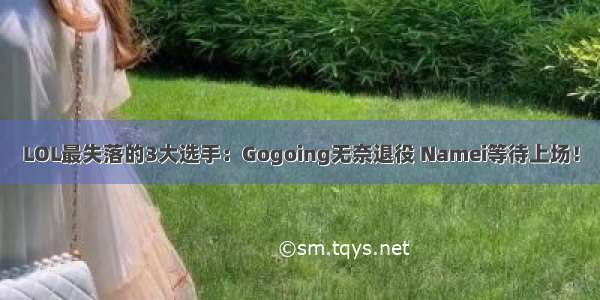 LOL最失落的3大选手：Gogoing无奈退役 Namei等待上场！