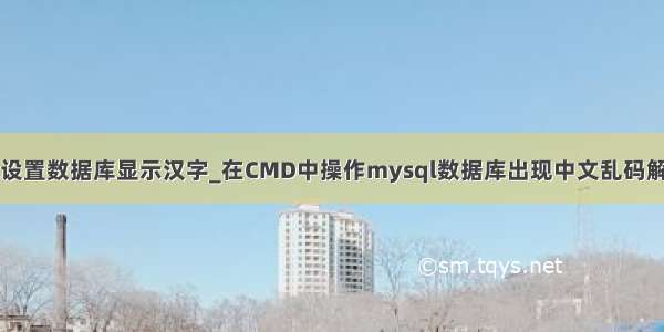 mysql设置数据库显示汉字_在CMD中操作mysql数据库出现中文乱码解决方案