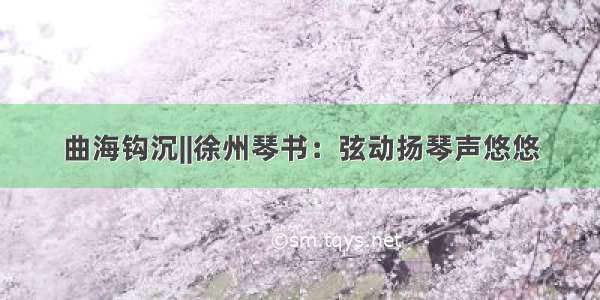 曲海钩沉||徐州琴书：弦动扬琴声悠悠