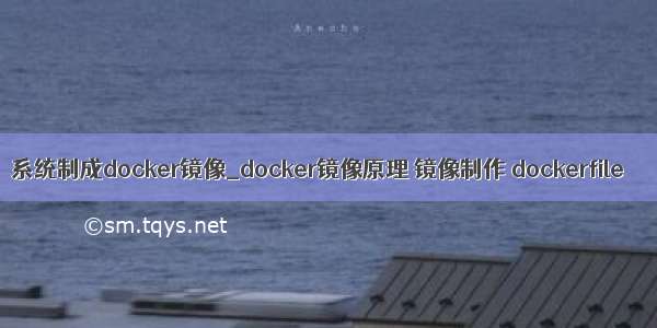 系统制成docker镜像_docker镜像原理 镜像制作 dockerfile