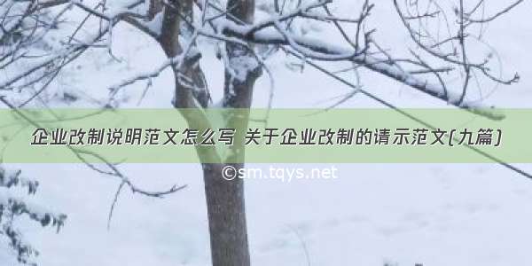 企业改制说明范文怎么写 关于企业改制的请示范文(九篇)