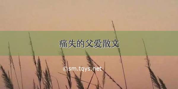 痛失的父爱散文