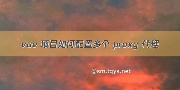 vue 项目如何配置多个 proxy 代理