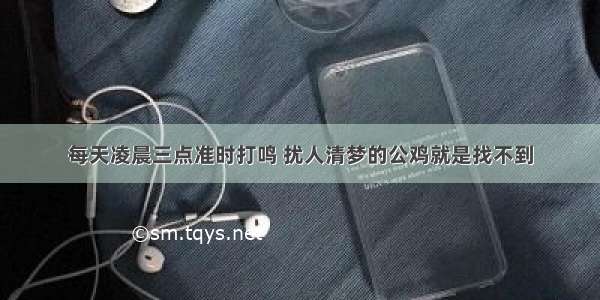 每天凌晨三点准时打鸣 扰人清梦的公鸡就是找不到