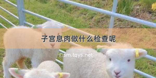 子宫息肉做什么检查呢