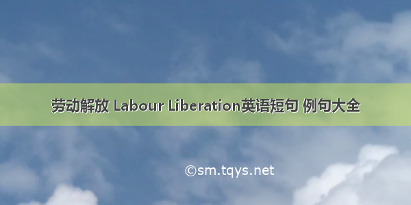 劳动解放 Labour Liberation英语短句 例句大全