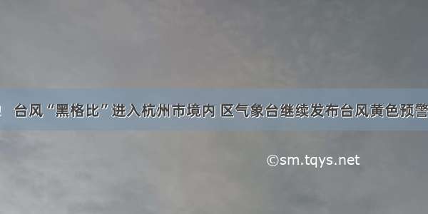 最新！ 台风“黑格比”进入杭州市境内 区气象台继续发布台风黄色预警信号！