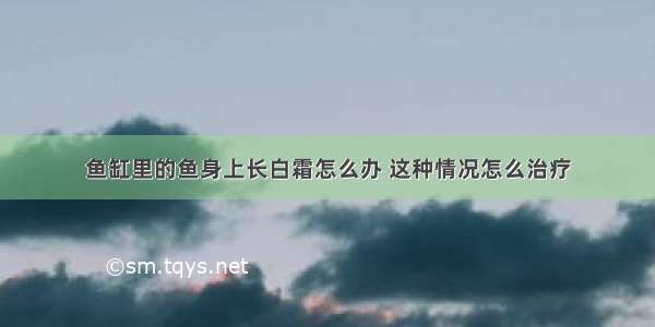 鱼缸里的鱼身上长白霜怎么办 这种情况怎么治疗