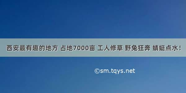 西安最有趣的地方 占地7000亩 工人修草 野兔狂奔 蜻蜓点水！